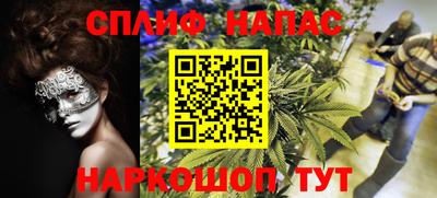 дживик Кунгур